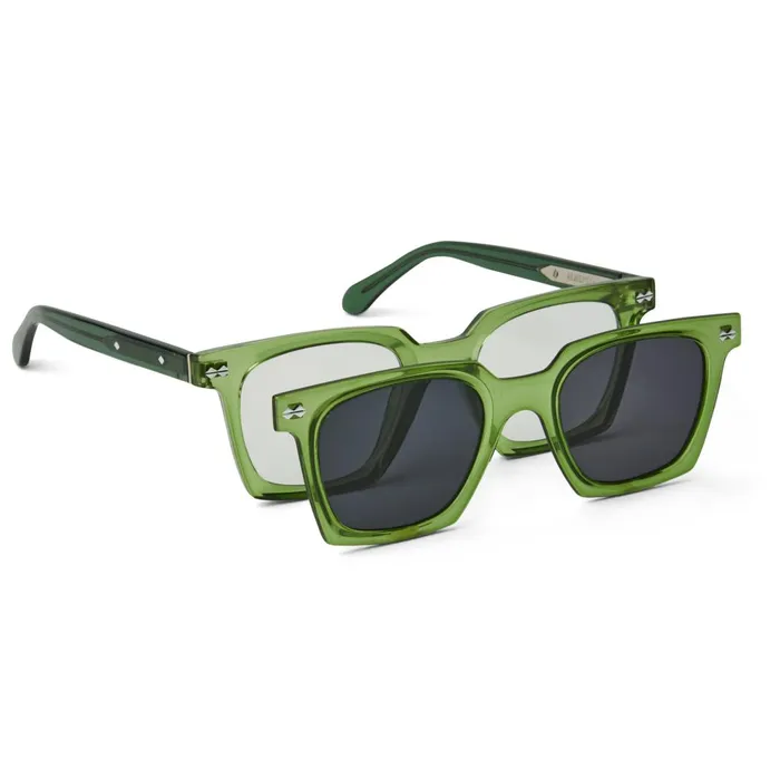 Alberto Sunglasses GREEN Men Bruno Magli Sunglasses