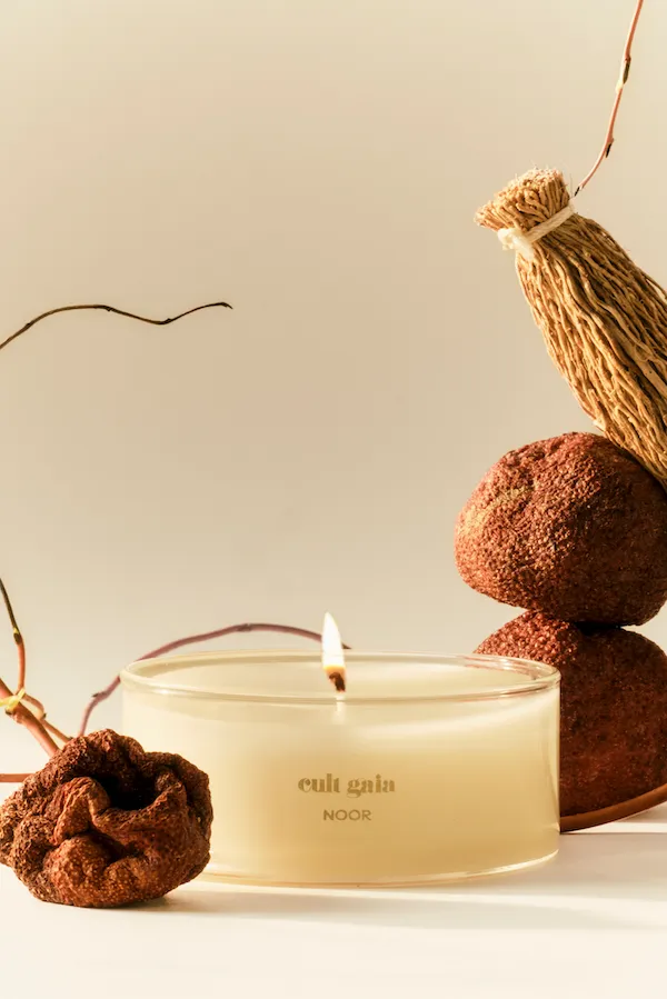 Cult Gaia 85 Oz Candle Refill Women Candles Cult Gaia 85 Oz Candle Refill Women Candles
