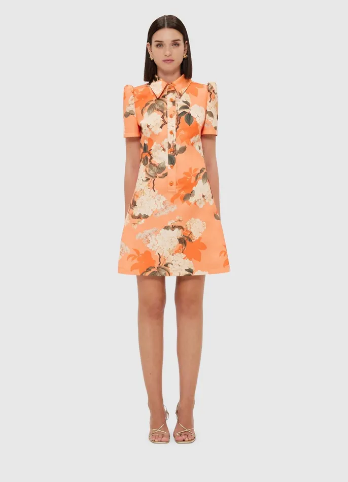 Dresses and Jumpsuits Women LEO LIN Brooke Mini Dress 8211 Hydrangea Print In Tangerine