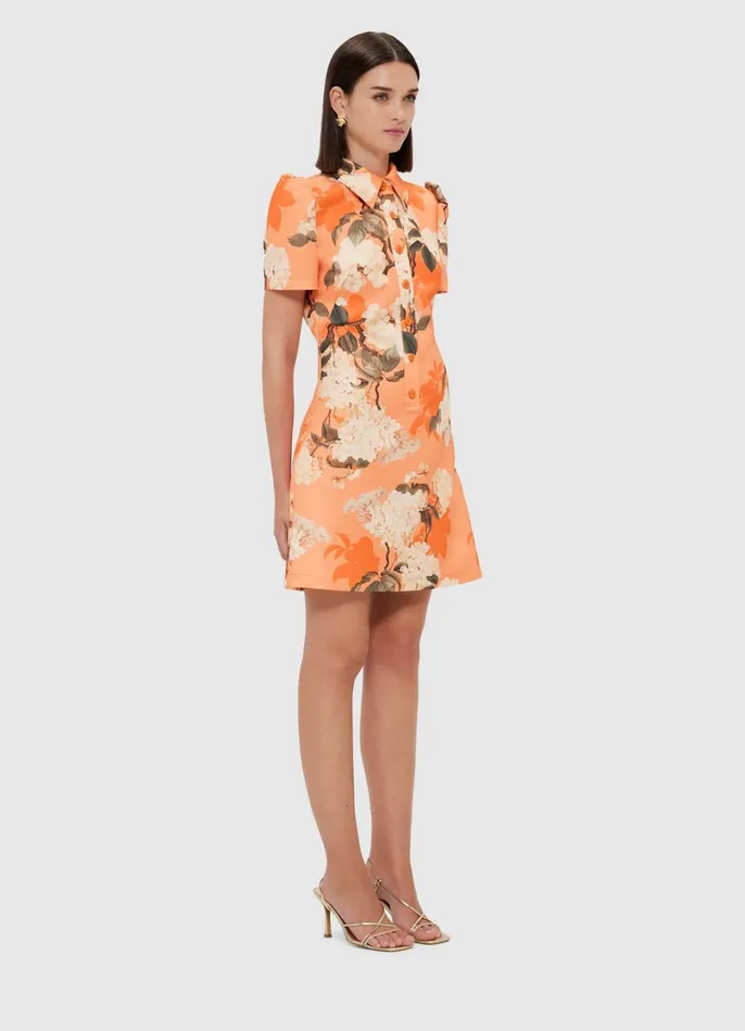 Dresses and Jumpsuits Women LEO LIN Brooke Mini Dress 8211 Hydrangea Print In Tangerine