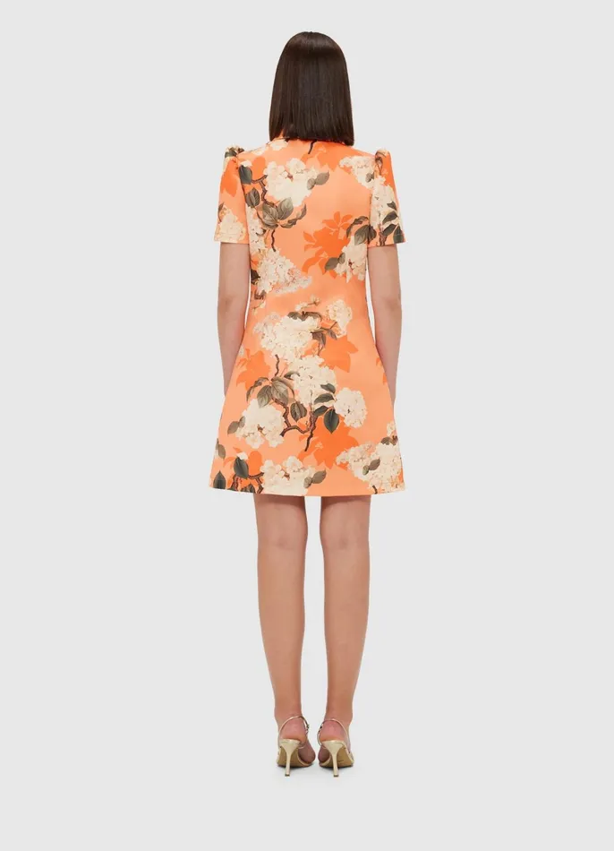 Dresses and Jumpsuits Women LEO LIN Brooke Mini Dress 8211 Hydrangea Print In Tangerine