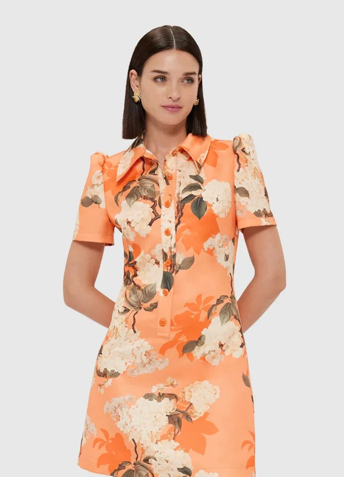 Dresses and Jumpsuits Women LEO LIN Brooke Mini Dress 8211 Hydrangea Print In Tangerine