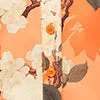 Dresses and Jumpsuits Women LEO LIN Brooke Mini Dress 8211 Hydrangea Print In Tangerine