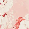 Dresses and Jumpsuits Women LEO LIN Nora Bustier Maxi Dress 8211 Peony Print