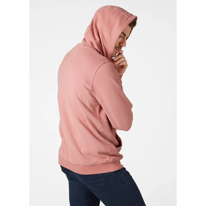 Hoodies and Sweatshirts Men Helly Hansen HH BOX HOODIE 096 Ash Rose