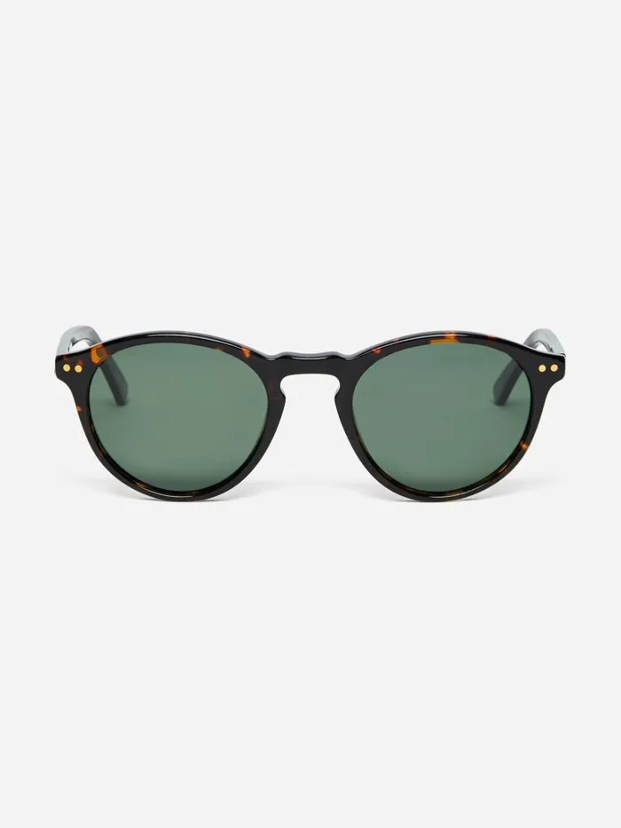 JMcLaughlin Bartleby Sunglasses Dark Tortoisegreen Women Eyewear
