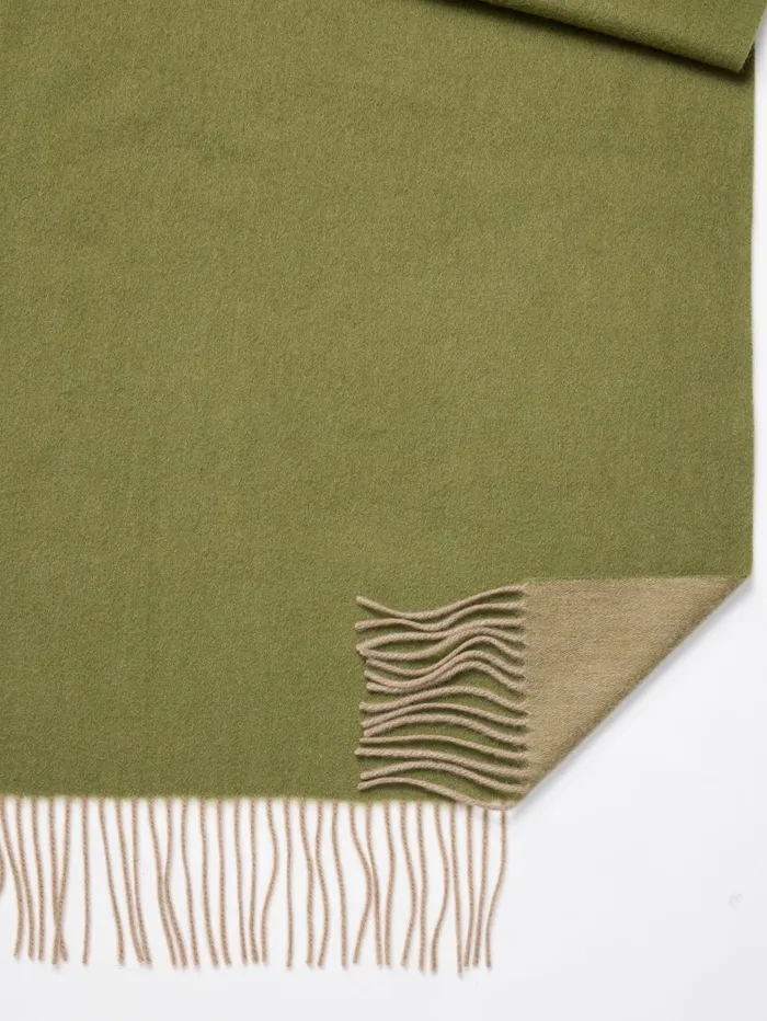 JMcLaughlin Jaipur Cashmere Scarf Olivecamel Women Scarves