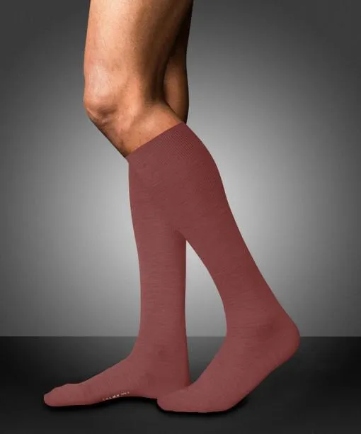 Men No 6 Finest Merino and Silk Men Kneehigh Socks Rust FALKE Knee High Socks