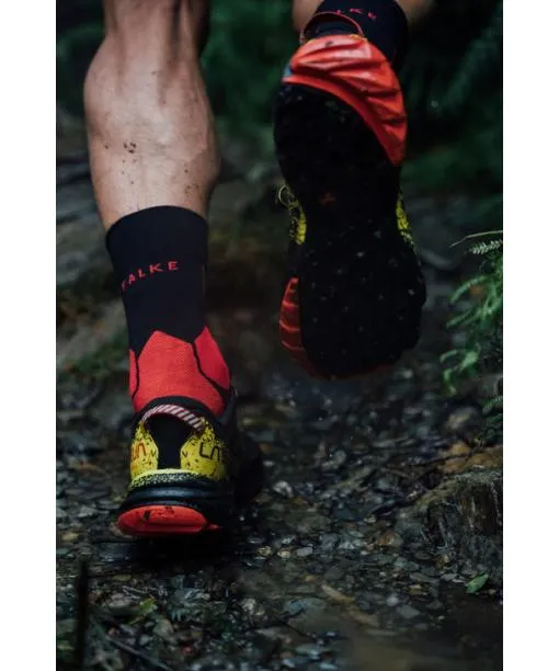 Men Stabilizing Cool Men Socks Health Herb FALKE Running Socks