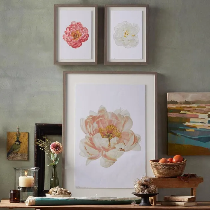 Women Peony Studies Prints Coral Sundance Catalog Decor
